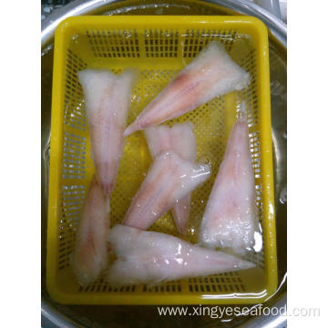 High Qualtiy Fresh Frozen Monkfish